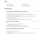 Business Development Resume Sample Business Development Resume Samples and Templates Visualcv