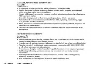 Business Development Resume Sample New Business Development Resume Samples Velvet Jobs