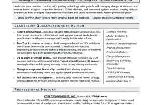 Business Development Resume Sample Vp Business Development Sample Resume Executive Resume