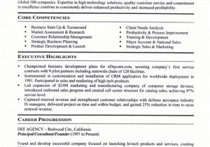 Business Owner Resume Sample Small Business Owner Resume Sample Best Professional