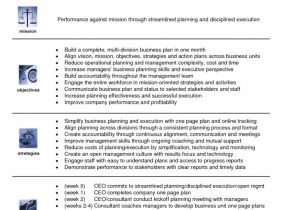 Business Plan for New Company Template New Business Plan Template New Business Plan Templates