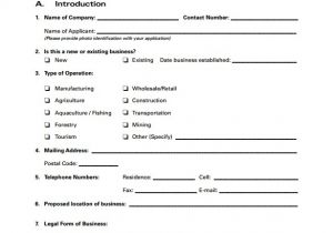 Business Plan Strategy Template 30 Sample Business Plans and Templates Sample Templates