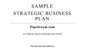 Business Plan Strategy Template Strategic Business Plan Template 9 Free Word Documents