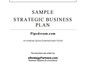 Business Plan Strategy Template Strategic Business Plan Template 9 Free Word Documents