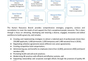 Business Plan Template for Consulting Firm 13 Consulting Business Plan Templates Free Word Pdf