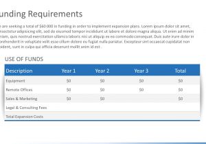 Business Plan Template for Existing Business Business Plan Template for Existing Business New Sample