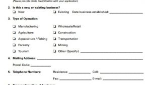 Business Plan Template for Security Company Business Plan for A Security Service Company order