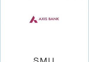 Business Platinum Debit Card Axis Bank Axis Banksarita Kumari