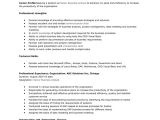 Business Resume Template Free Business Analyst Resume Examples Template