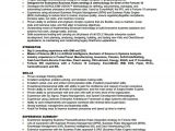 Business Resume Template Free Business Analyst Resume Template 11 Free Word Excel