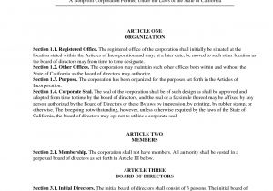 Bylaws for Nonprofit organizations Template Best Photos Of Pa Non Profit bylaws Template Florida Non