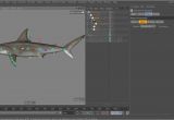 C4d Character Template C4d Custom Character Rig Template Overview and Tutorial On