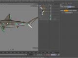 C4d Character Template C4d Custom Character Rig Template Overview and Tutorial On