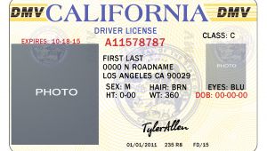 California Id Template Download 10 California Drivers Id Template Psd Images California