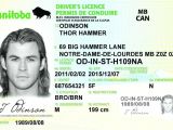 California Id Template Download 32 Awesome California Drivers License Template Opinion