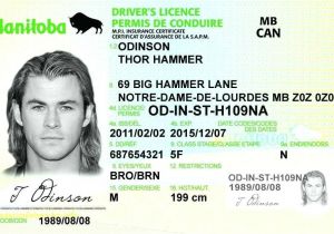 California Id Template Download 32 Awesome California Drivers License Template Opinion