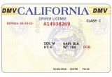 California Id Template Download 8 Blank Drivers License Template Psd Images north