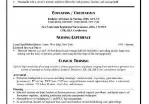 Cannabis Resume Template Clinical Nurse Resume Examples Examples Of Resumes