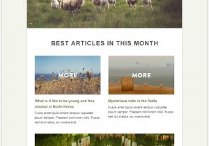 Canva Email Newsletter Template Free Email Newsletter Templates Psd Css Author