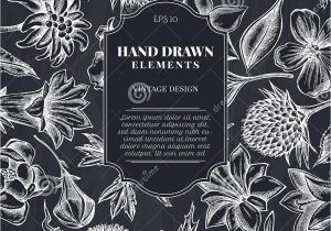 Card Flower Black and White Kartenentwurf Mit Kreideglockenblume Edelweia Globethistle