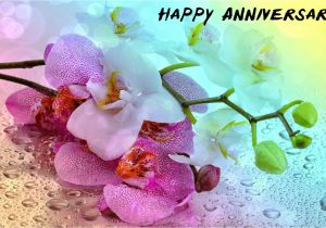 Card Greetings for Wedding Anniversary Pin by Lois Briones On Anniversary Marriage Anniversary