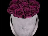Card Holder for Flower Bouquet Classic Infinity Rosebox Velvet Plum S