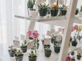 Card Holders for Flower Arrangements Kreativni Pokloni Za Goste Cvithappens Seating