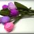 Card Ke Flower Banana Sikhaye Diy Crafts How to Make Beautiful Paper Tulip Flowers Easy Paper Crafts Diy Beauty and Easy