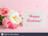 Card Picks for Flower Arrangements Happy Birthday Card Colorful Tulips Stockfotos Happy