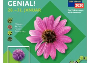 Card Se Flower Pot Banana Calameo Taspo Messejournal Ipm 2020