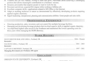 Careercup Resume Template Good Resume Examples themeyellow