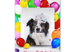 Cat Singing Happy Birthday Card Australian Shepherd Dog Balloons Crown Birthday Card