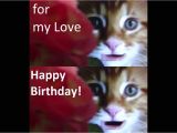 Cat Singing Happy Birthday Card Happy Birthday My Love From Cute Cats with Images
