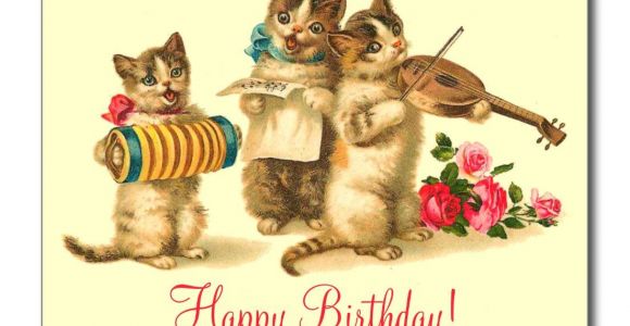 Cat Singing Happy Birthday Card Vintage Funny Cats Singing Happy Birthday Postcard Zazzle Com