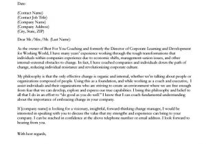 Catchy Cover Letter Openers Catchy Cover Letter Openers Letter Of Recommendation