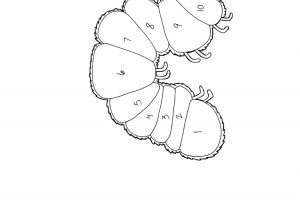 Caterpillar Outline Template New Very Hungry Caterpillar Printables Downloadtarget
