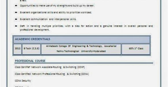 Ccnp Resume Sample for Freshers Ccna Resume for Freshers