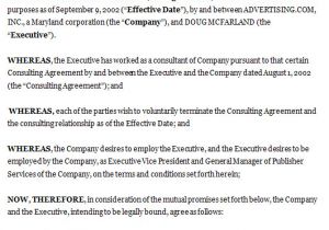 Ceo Employment Contract Template Executive Employment Agreement