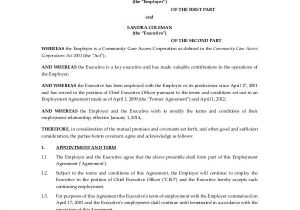 Ceo Employment Contract Template Executive Employment Contract Sample 9 Examples In Word
