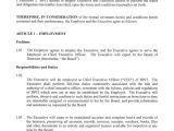 Ceo Employment Contract Template Standard Employment Agreement Sample 20 Examples In Pdf