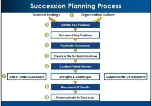 Ceo Succession Planning Template Executive Succession Planning Process Template Resume