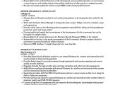 Cerner Resume Samples Cerner Consultant Resume Talktomartyb