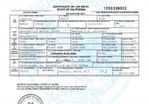 Certificate Of Live Birth Template 10 Best Images Of Certificate Of Live Birth Obama Birth