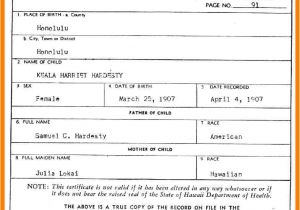 Certificate Of Live Birth Template Birth Certificate Template Template Trakore Document