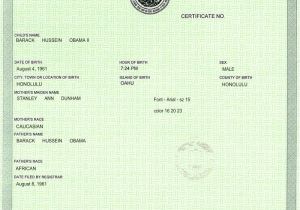 Certificate Of Live Birth Template Create Your Own Barack Obama Hawaiian Birth Cetification