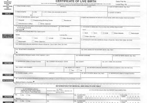 Certificate Of Live Birth Template Hey Look It 39 S Obama 39 S Birth Certificate Page 2