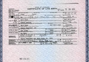 Certificate Of Live Birth Template the Rebel Agenda 2011 05 08