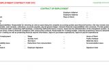 Cfo Contract Template Cfo Job Employment Contract