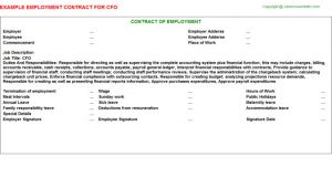 Cfo Contract Template Cfo Job Employment Contract