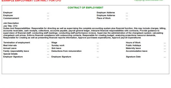 Cfo Contract Template Cfo Job Employment Contract